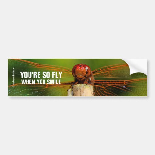 A Smiling Red Dragonfly Bumper Sticker