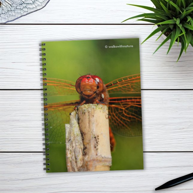 A Smiling Red Dragonfly Notebook (A Smiling Red Dragonfly Journal Cover Photo)