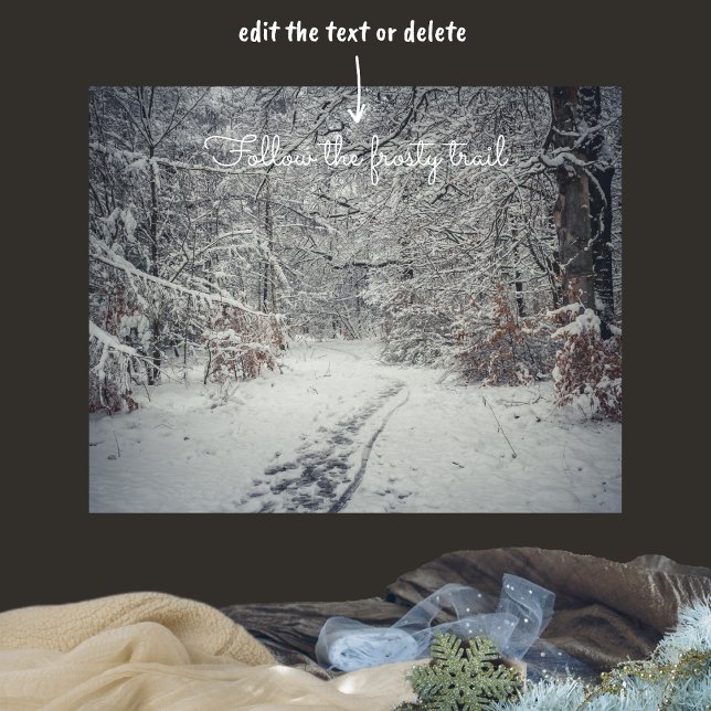 A snow-covered path through a winter forest poster (Creator Uploaded)