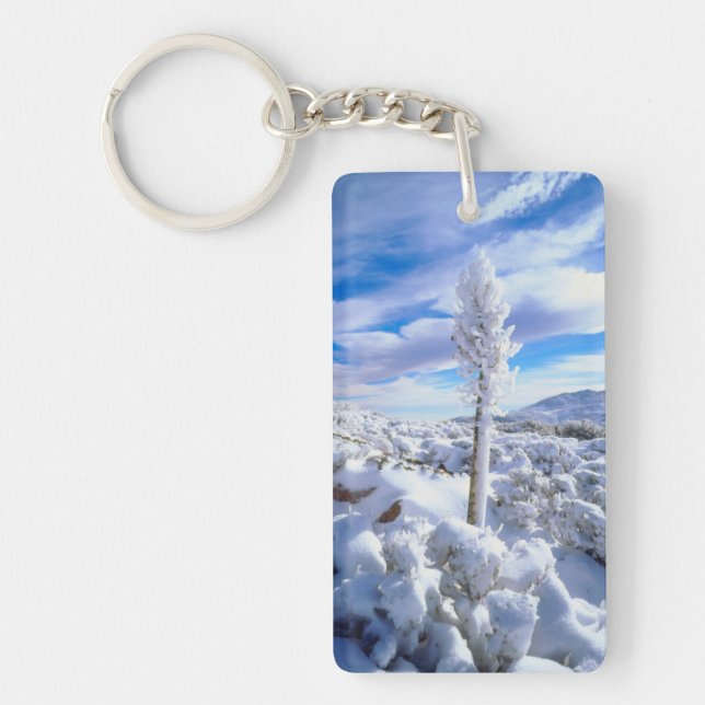A snow covered yucca keychain (Front)