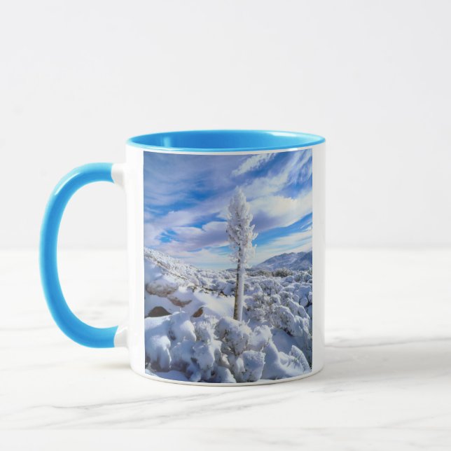 A snow covered yucca mug (Left)