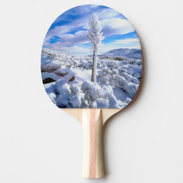 A snow covered yucca Ping-Pong paddle (Front)