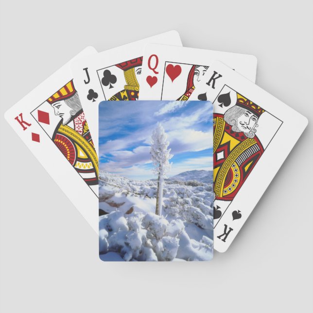 A snow covered yucca poker cards (Back)