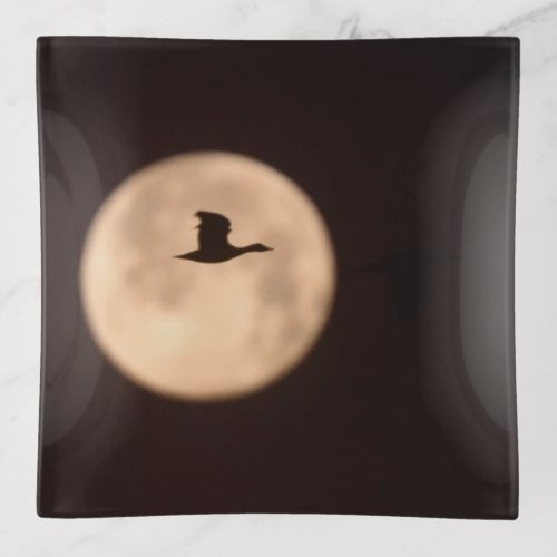 A Snow Goose Against A Full Moon  New Mexico Trinket Tray