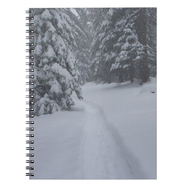 A Snowy Path Notebook (Front)