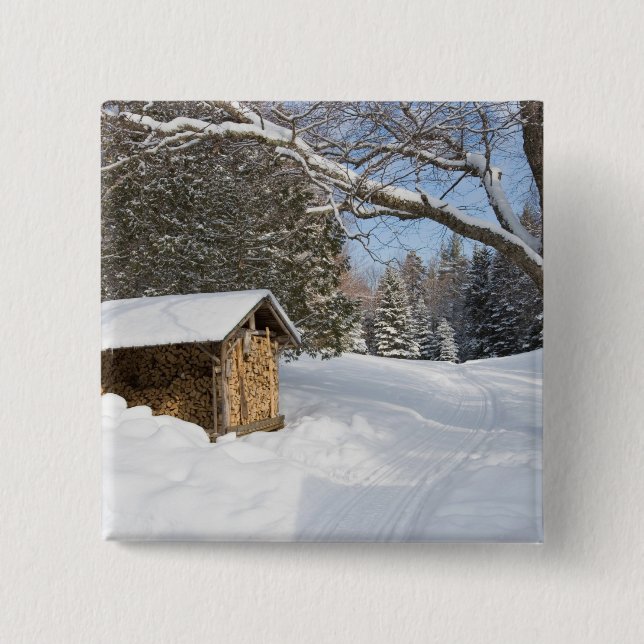 A snowy scene at the AMC's Little Lyford Pond Pinback Button (Front)