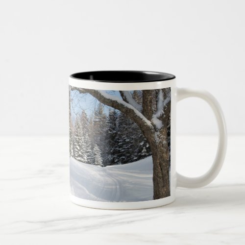 A snowy scene at the AMCs Little Lyford Pond Two_Tone Coffee Mug