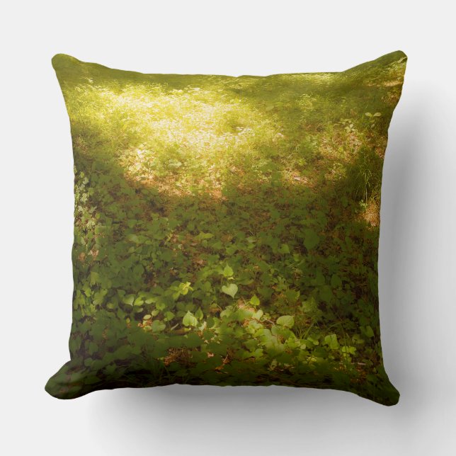 a soft light throw pillow (Front)