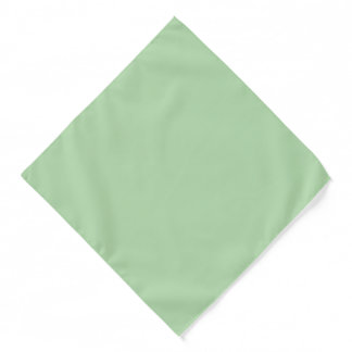 A soft pale green background fills the image bandana