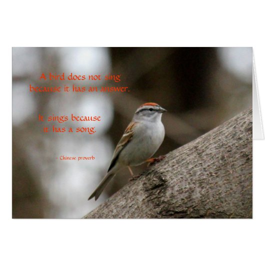 A song (Front Horizontal)