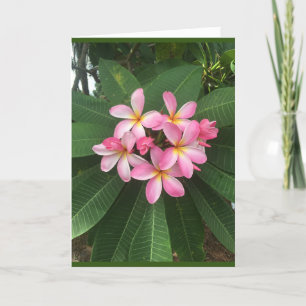 A *SPECIAL BIRTHDAY* FOR A *SPECIAL PERSON* CARD