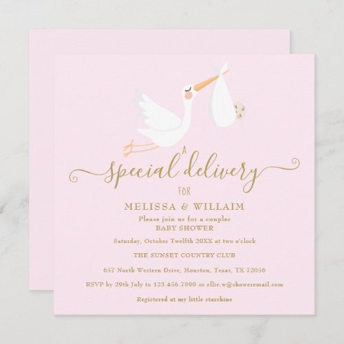 A Special Delivery Couples Baby Shower  Sprinkle Invitation