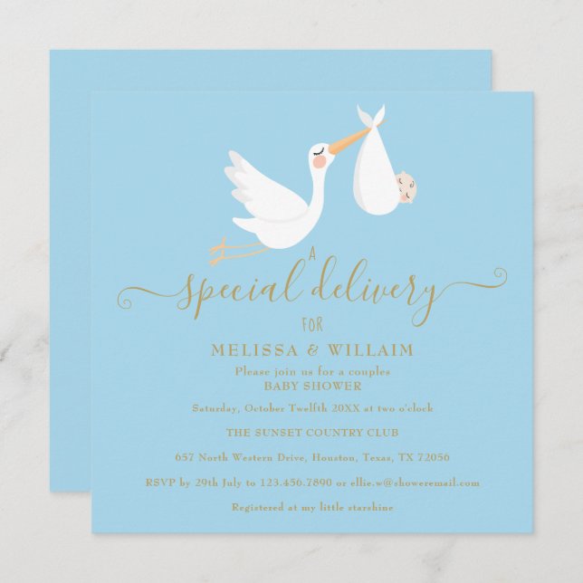 A Special Delivery Couples Baby Shower / Sprinkle Invitation (Front/Back)