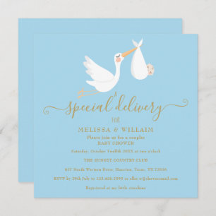 A Special Delivery Couples Baby Shower / Sprinkle Invitation