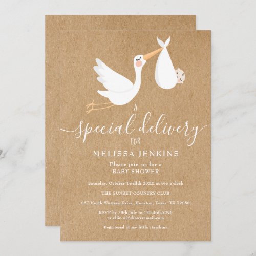 A Special Delivery Stork Baby Shower  Sprinkle Invitation