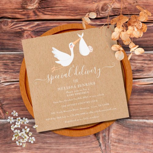 A Special Delivery Stork Baby ShowerSprinkle Invitation