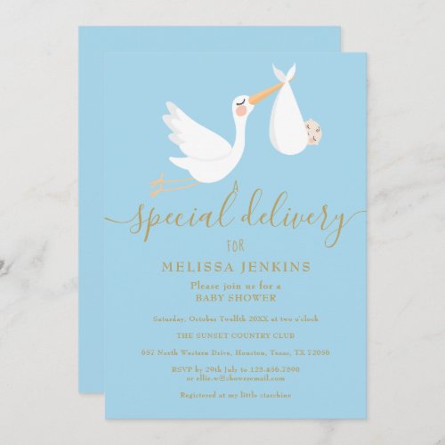 A Special Delivery Stork Baby Shower  Sprinkle Invitation