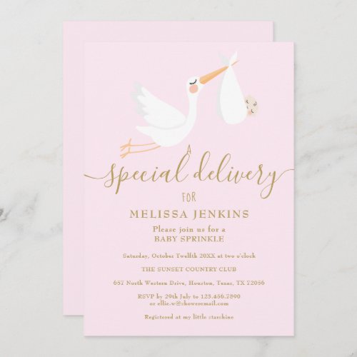 A Special Delivery Stork Baby Shower  Sprinkle Invitation