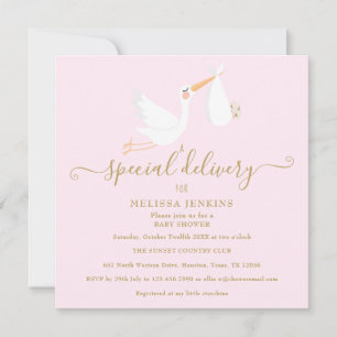 A Special Delivery Stork Baby Shower / Sprinkle Invitation