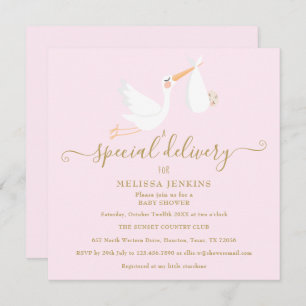 A Special Delivery Stork Baby Shower / Sprinkle Invitation
