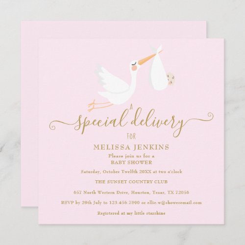 A Special Delivery Stork Baby Shower  Sprinkle Invitation