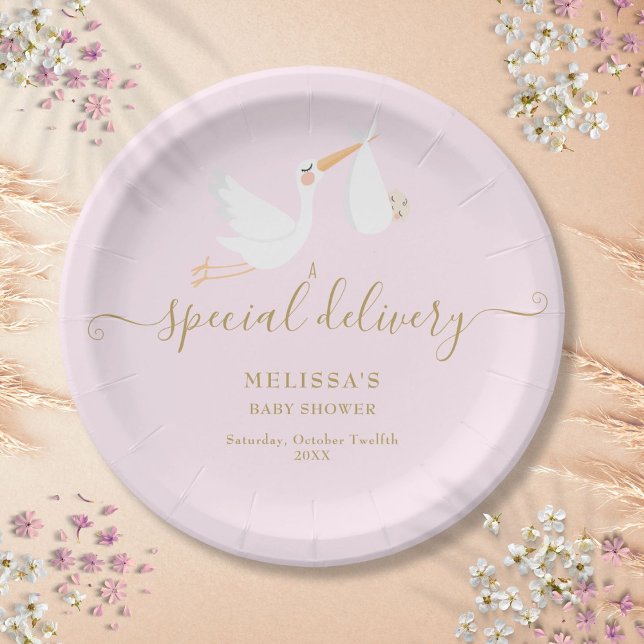 A Special Delivery Stork Baby Shower Sprinkle Paper Plates (A Special Delivery Stork Baby Shower Sprinkle Paper Plates)