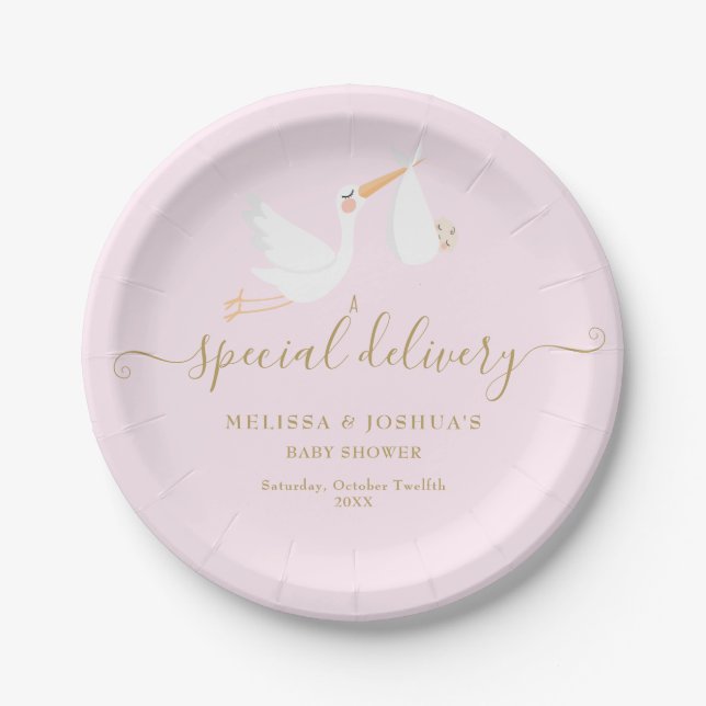 A Special Delivery Stork Baby Shower/Sprinkle Paper Plates (Front)