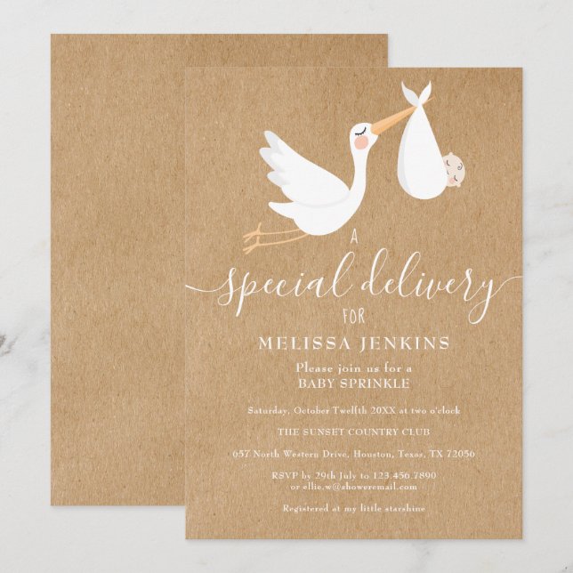 A Special Delivery Stork Baby Sprinkle / Shower Invitation (Front/Back)
