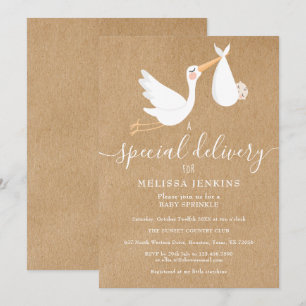 A Special Delivery Stork Baby Sprinkle / Shower Invitation