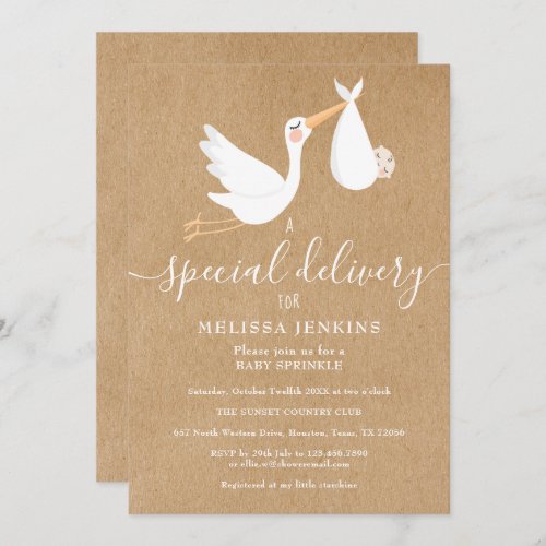 A Special Delivery Stork Baby Sprinkle  Shower Invitation