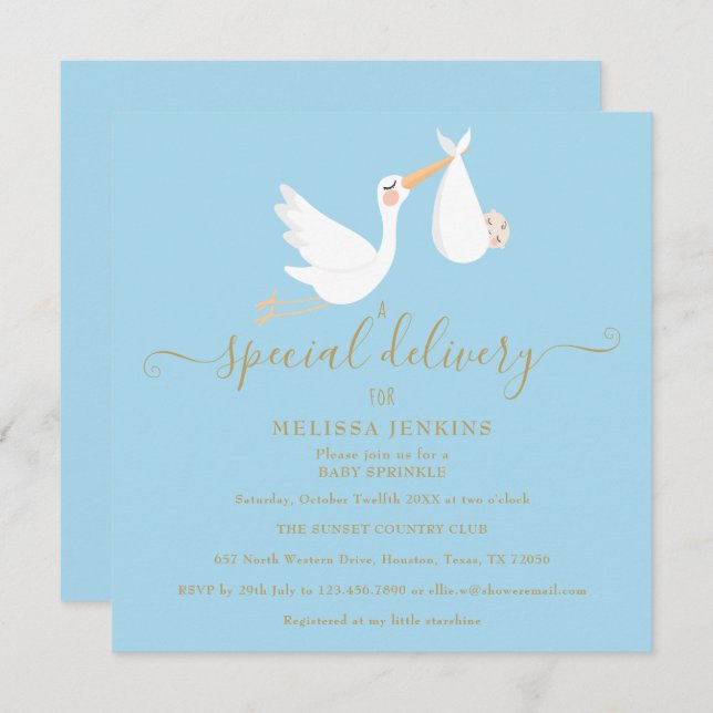 A Special Delivery Stork Baby Sprinkle / Shower Invitation (Front/Back)