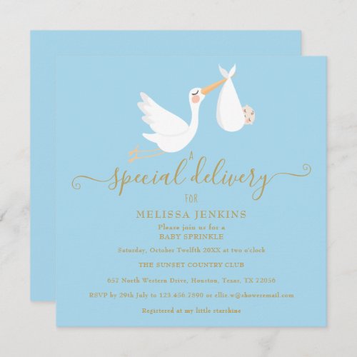 A Special Delivery Stork Baby Sprinkle  Shower Invitation