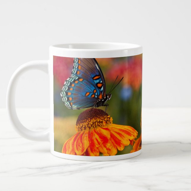 A Spicebush Swallowtail, Papilio troilus Giant Coffee Mug (Left)
