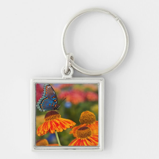 A Spicebush Swallowtail, Papilio troilus Keychain (Front)