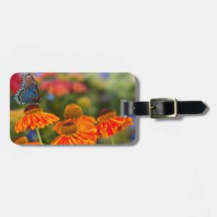 A Spicebush Swallowtail, Papilio troilus Luggage Tag