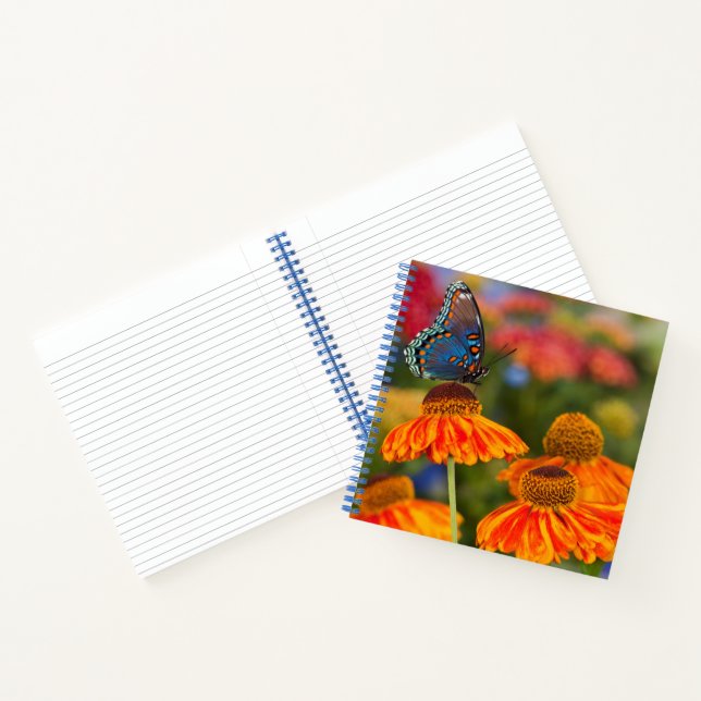 A Spicebush Swallowtail, Papilio troilus Notebook (Inside)
