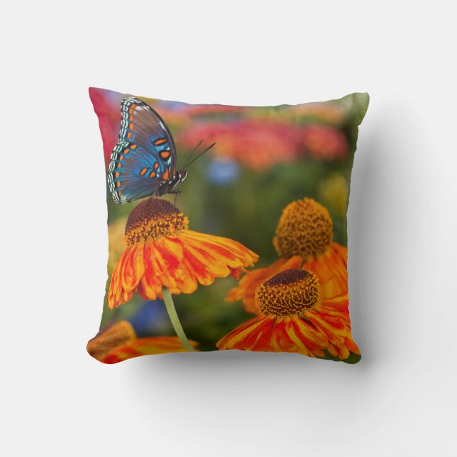 A Spicebush Swallowtail, Papilio troilus Throw Pillow (Front)
