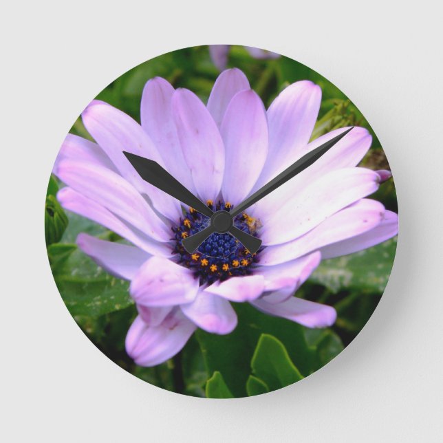 A Spiders Center Round Clock (Front)