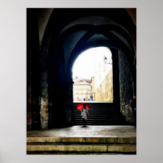 A Splash of Red in a Spanish Arch Poster