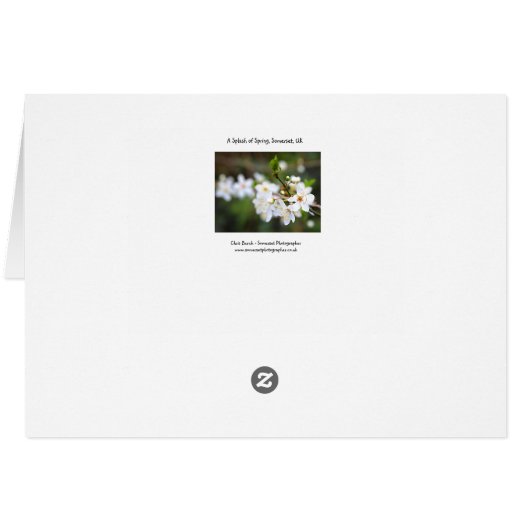 A Splash of Spring (Back Horizontal)