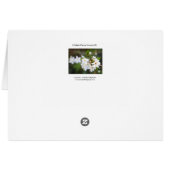 A Splash of Spring Cards (Back Horizontal)