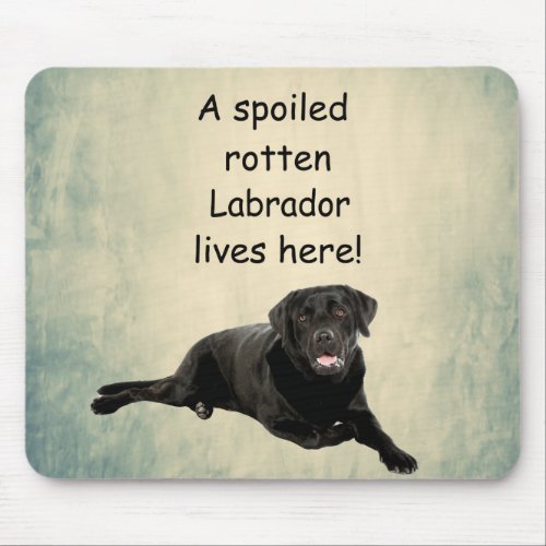 A Spoiled Rotten Labrador Lives Here Mouse Pad