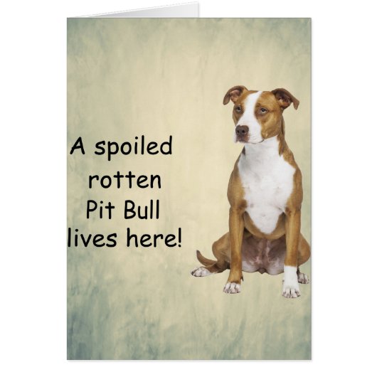 A Spoiled Rotten Pit Bull Lives here (Front)