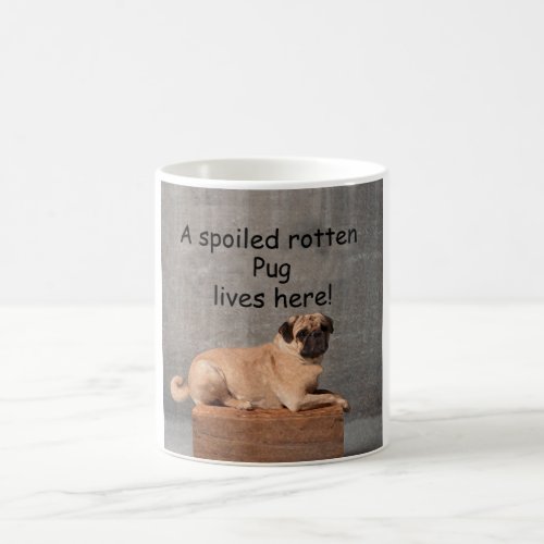 A Spoiled Rotten Pug Lives here Coffee Mug