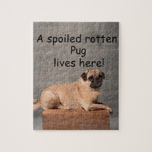 A Spoiled Rotten Pug Lives here Jigsaw Puzzle