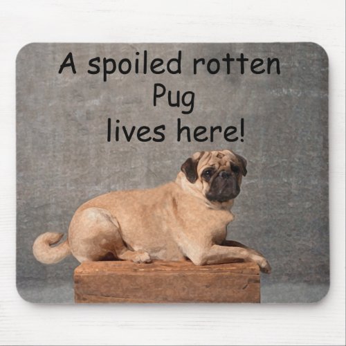 A Spoiled Rotten Pug Lives here Mouse Pad