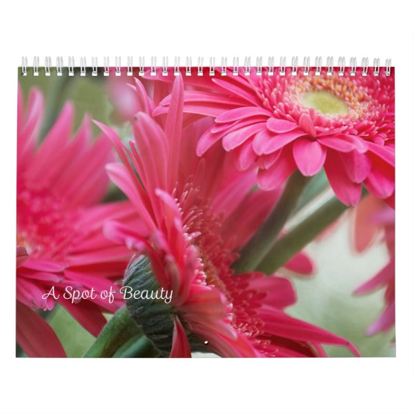 A Spot of Beauty Calendar