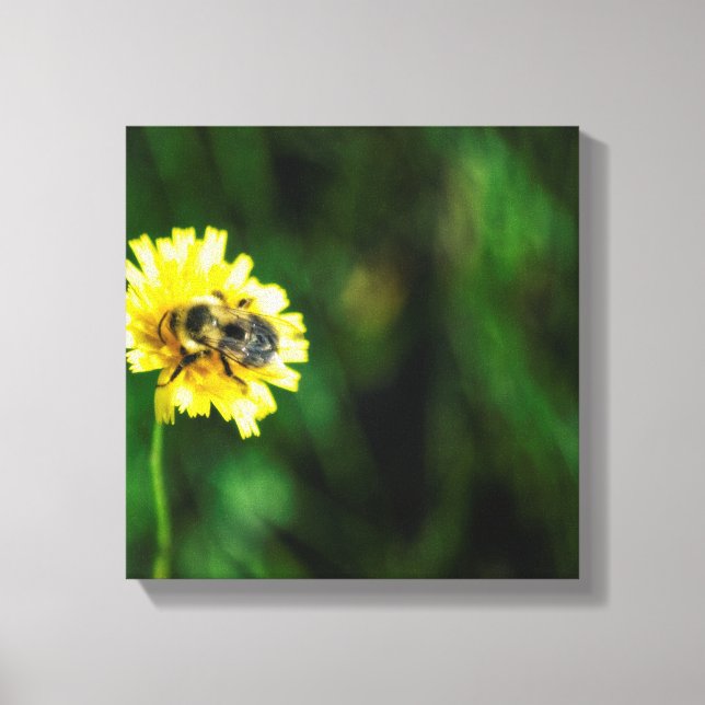 A Spot of Yellow Canvas Print (Front)