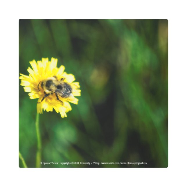 A Spot of Yellow Metal Print (Front)