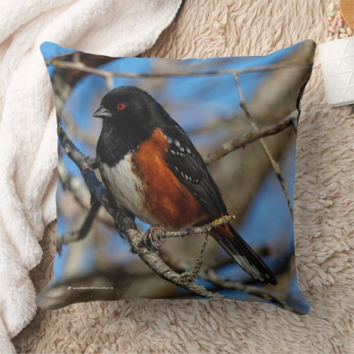 A Spotted Towhee Sparrow Songbird in a Tree Throw Pillow